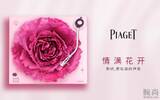 情 满 花 开——与PIAGET伯爵共同聆听爱绽放的声音